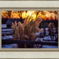 Plate 1 - Sunset Grasses