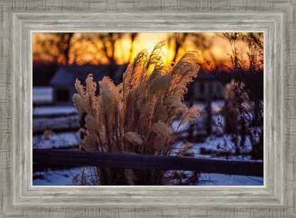 Plate 1 - Sunset Grasses