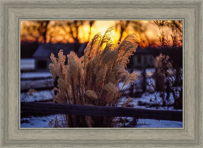 Plate 1 - Sunset Grasses