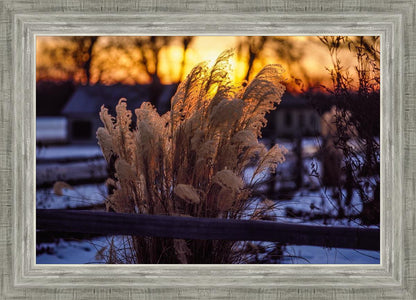 Plate 1 - Sunset Grasses