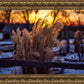 Plate 1 - Sunset Grasses