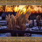 Plate 1 - Sunset Grasses