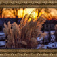 Plate 1 - Sunset Grasses