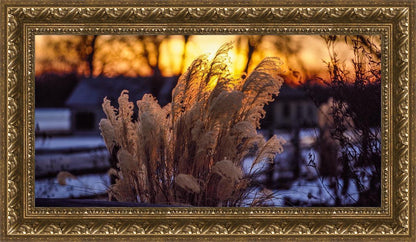 Plate 1 - Sunset Grasses