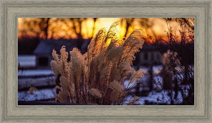 Plate 1 - Sunset Grasses