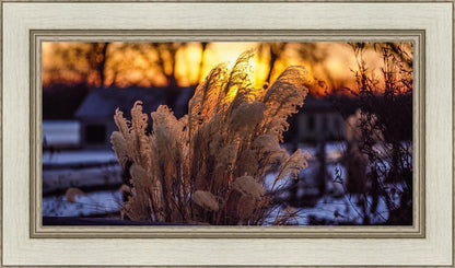 Plate 1 - Sunset Grasses