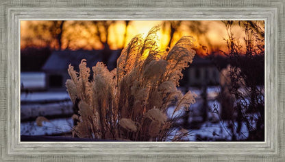 Plate 1 - Sunset Grasses