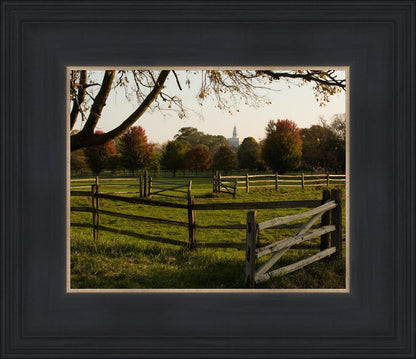 Plate 6 - The Gates are Open