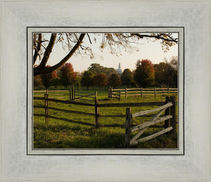 Plate 6 - The Gates are Open