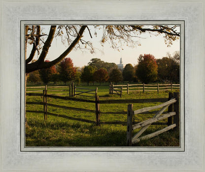 Plate 6 - The Gates are Open