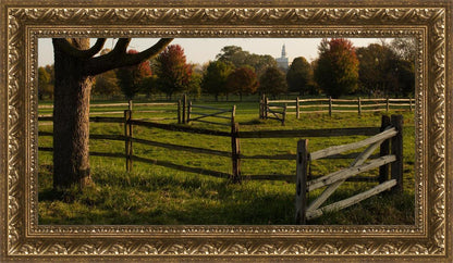 Plate 6 - The Gates are Open