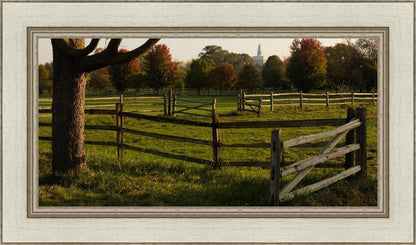 Plate 6 - The Gates are Open