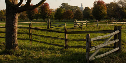 Plate 6 - The Gates are Open
