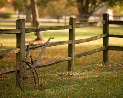 Plate 5 - Vintage Garden Cultivator