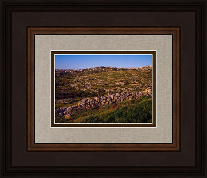 Plate 1 - Bethlehem in Early Spring