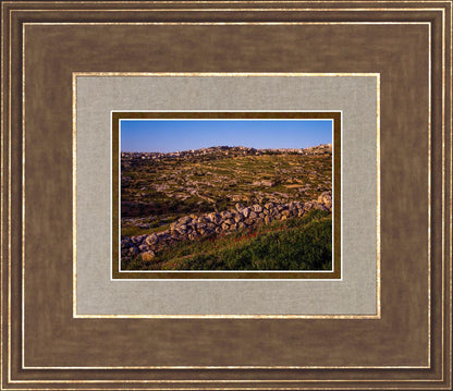 Plate 1 - Bethlehem in Early Spring