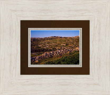 Plate 1 - Bethlehem in Early Spring