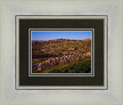 Plate 1 - Bethlehem in Early Spring