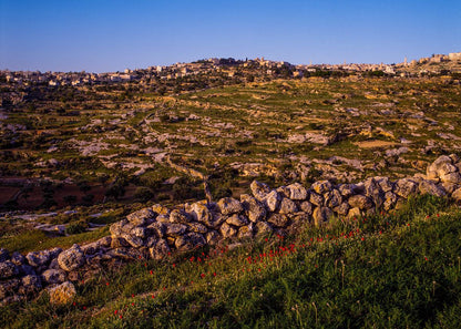 Plate 1 - Bethlehem in Early Spring