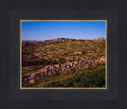 Plate 1 - Bethlehem in Early Spring