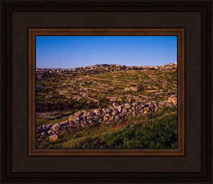 Plate 1 - Bethlehem in Early Spring