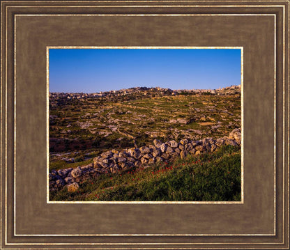 Plate 1 - Bethlehem in Early Spring