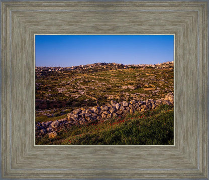 Plate 1 - Bethlehem in Early Spring