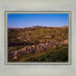 Plate 1 - Bethlehem in Early Spring