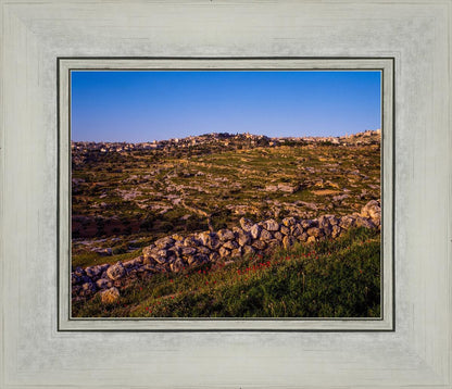 Plate 1 - Bethlehem in Early Spring