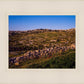 Plate 1 - Bethlehem in Early Spring