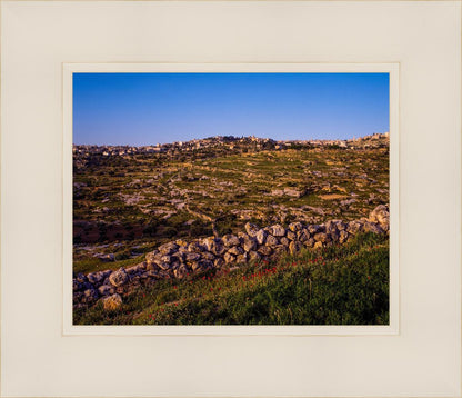 Plate 1 - Bethlehem in Early Spring