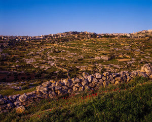 Plate 1 - Bethlehem in Early Spring