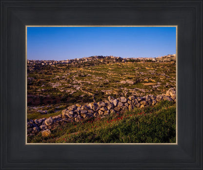 Plate 1 - Bethlehem in Early Spring