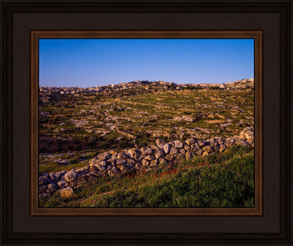 Plate 1 - Bethlehem in Early Spring