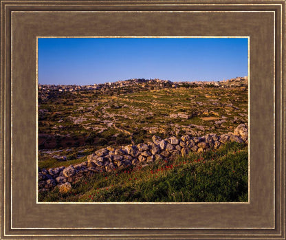 Plate 1 - Bethlehem in Early Spring