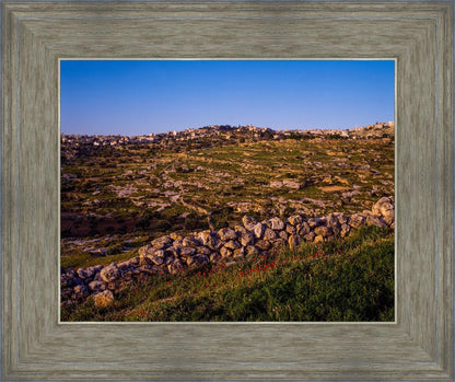 Plate 1 - Bethlehem in Early Spring