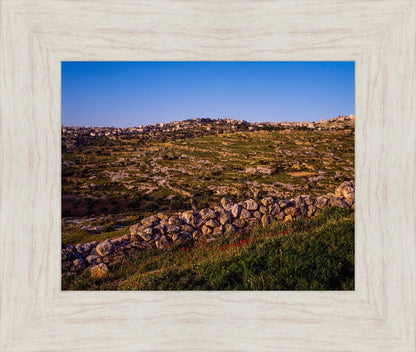 Plate 1 - Bethlehem in Early Spring