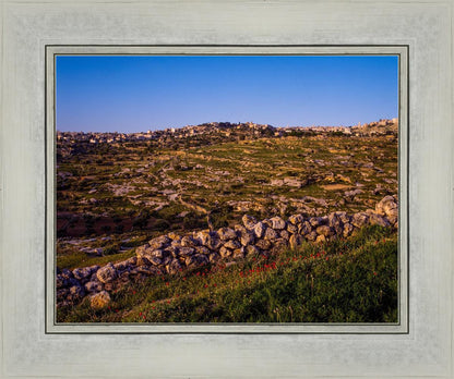 Plate 1 - Bethlehem in Early Spring