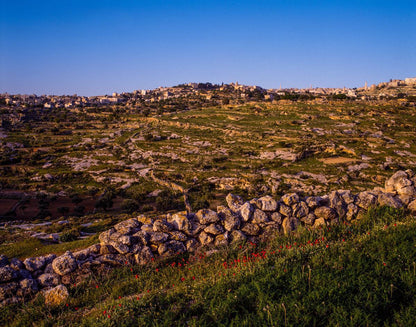 Plate 1 - Bethlehem in Early Spring