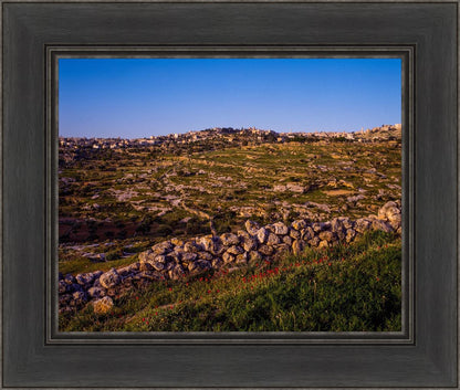 Plate 1 - Bethlehem in Early Spring