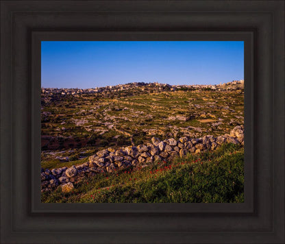 Plate 1 - Bethlehem in Early Spring