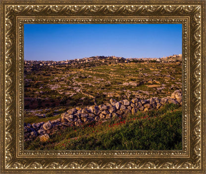 Plate 1 - Bethlehem in Early Spring