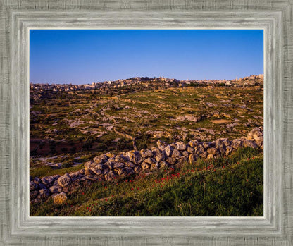 Plate 1 - Bethlehem in Early Spring