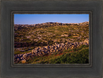 Plate 1 - Bethlehem in Early Spring