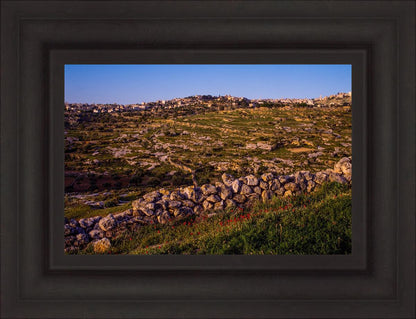 Plate 1 - Bethlehem in Early Spring