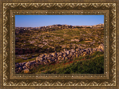 Plate 1 - Bethlehem in Early Spring