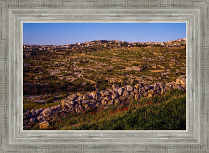 Plate 1 - Bethlehem in Early Spring