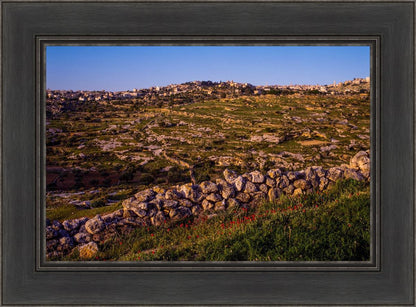 Plate 1 - Bethlehem in Early Spring