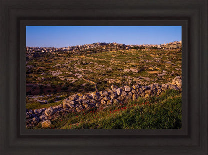 Plate 1 - Bethlehem in Early Spring