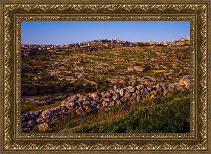 Plate 1 - Bethlehem in Early Spring